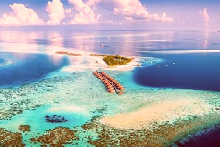 Sofia, 32 — Escort in Vilufushi, Maldives