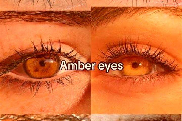 Sofia, 33, a chestnut amber-eyed indian companion based in Gnas. Offering Striptease, Couples, Party Girl. Available for incall and outcall, overnight bookin...