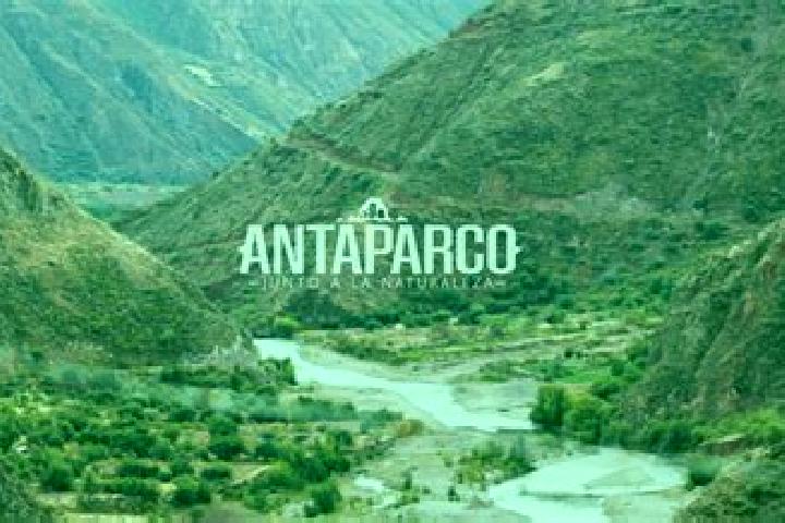 Sofia, 33 — Escort in Antaparco, Peru