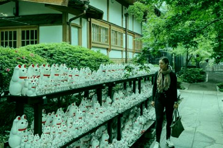 Sofia, 33 — Escort in Gotokuji, Japan