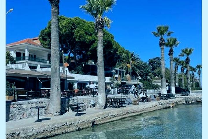 Sofia, 33 — Escort in Kuecuek Altinbulak, Turkey