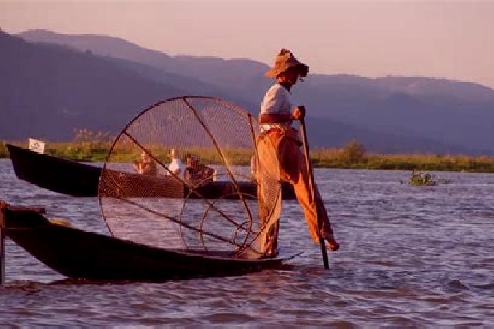 Sofia, 33 — Escort in Pakokku, Myanmar