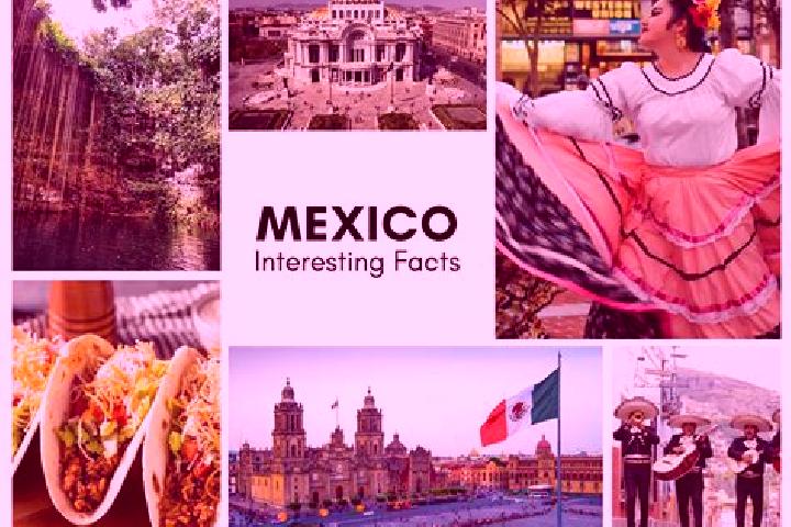 Sofia, 33 — Escort in Palo Grande, Mexico