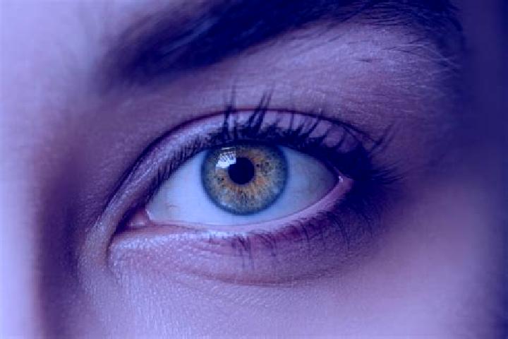 Sofia, 34, a chestnut hazel-eyed mixed companion based in Nahuimpuquio. Offering Striptease, Fetish, Deep French Kissing, CIM. Available for incall and outca...