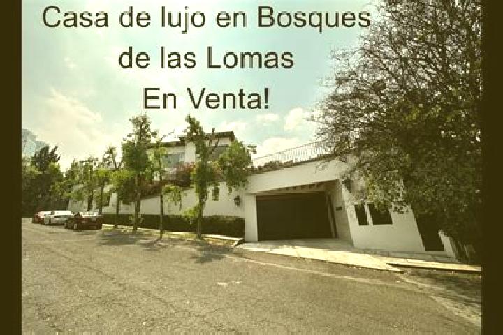 Sofia, 34 — Escort in Dos Lomas, Mexico