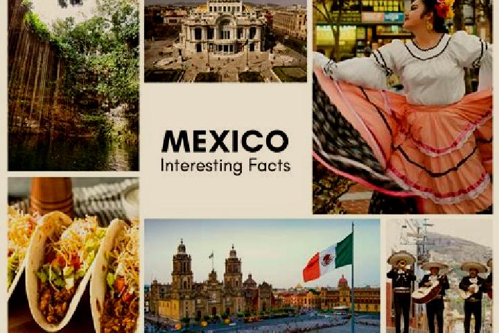 Sofia, 34 — Escort in Monte Prieto, Mexico