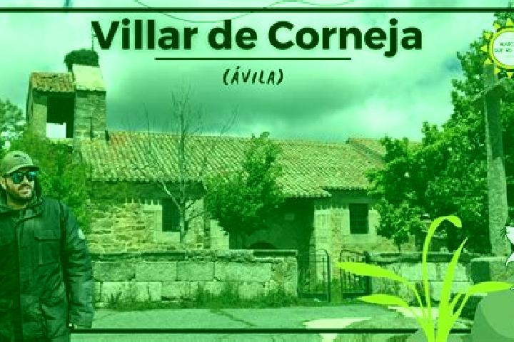 Sofia, 34 — Escort in Navacepedilla de Corneja, Spain