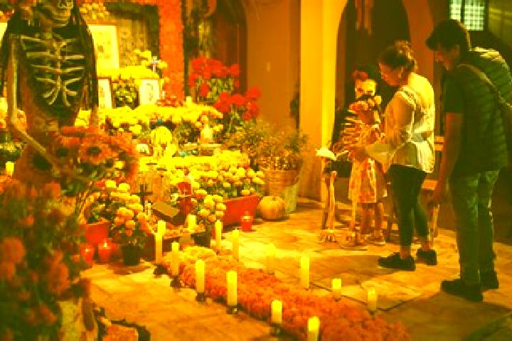 Sofia, 34 — Escort in Tuxcacuesco, Mexico