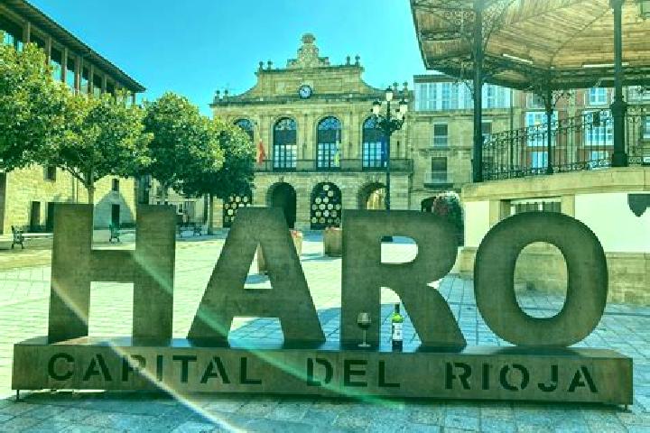 Sofia, 35 — Escort in Carrascosa de Haro, Spain