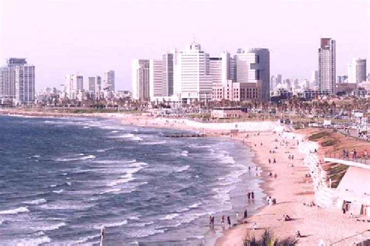 Sofia, 35 — Escort in Judeida Makr, Israel