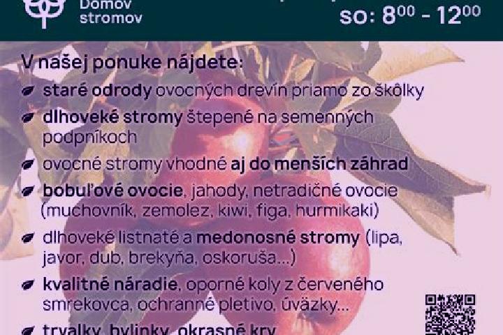 Sofia, 35 — Escort in Moravske Lieskove, Slovakia