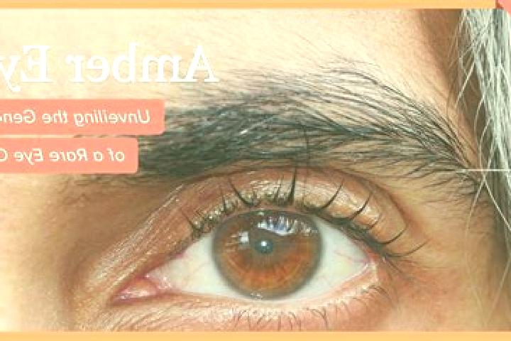 Sofia, 36, a black amber-eyed mediterranean companion based in Nalchik. Offering Deep French Kissing, A-Level, Overnight. Available for incall and outcall, o...