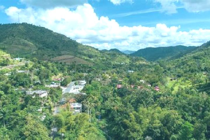 Sofia, 36 — Escort in Ciales, Puerto Rico