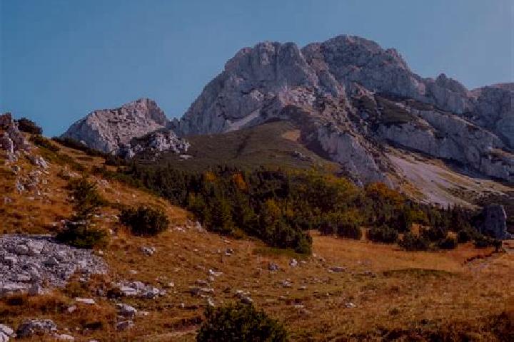 Sofia, 36 — Escort in Sutjeska, Serbia