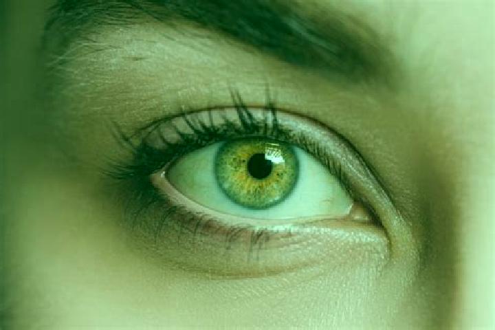 Sofia, 37, a black hazel-eyed mixed companion based in Signal Hill. Offering Tantra, Travel Companion, OWO. Available for incall and outcall, overnight booki...