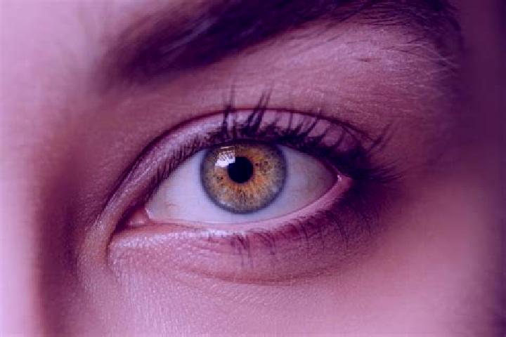 Sofia, 37, a blonde hazel-eyed mixed companion based in Oud-Beijerland. Offering Domination, Roleplay, Party Girl, Massage. Available for incall and outcall,...