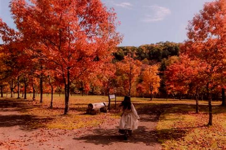 Sofia, 37 — Escort in Asahigaoka, Japan