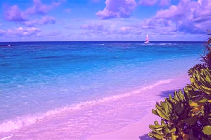 Sofia, 37 — Escort in East End, Cayman Islands