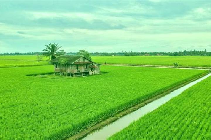 Sofia, 37 — Escort in Kampung Jawa, Indonesia