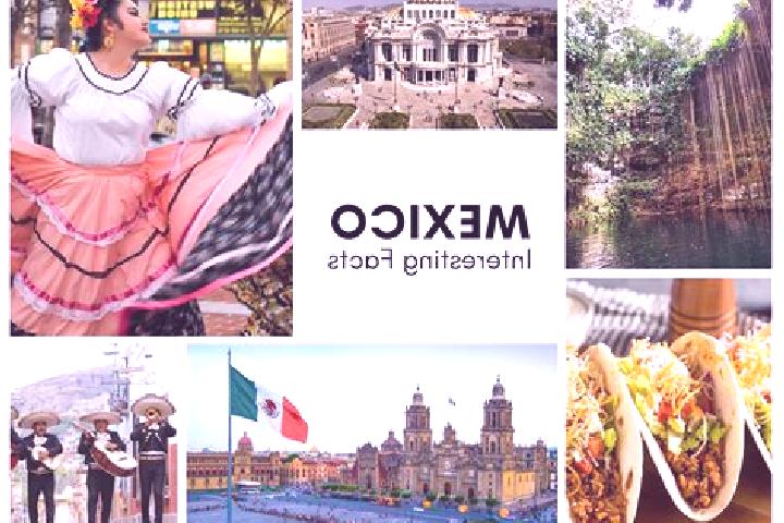 Sofia, 37 — Escort in La Caudalosa, Mexico