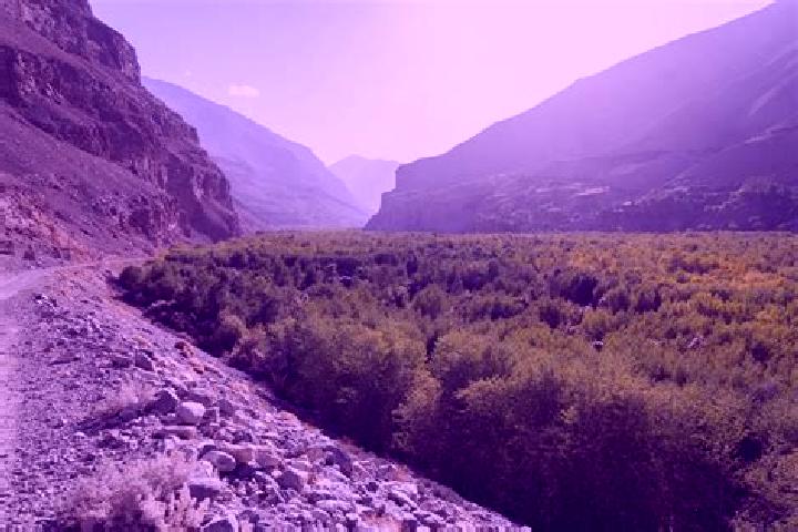 Sofia, 37 — Escort in Roshtqal a, Tajikistan