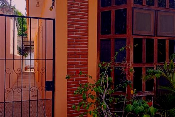 Sofia, 37 — Escort in San Pedro Mixtepec Distrito Veintidos, Mexico