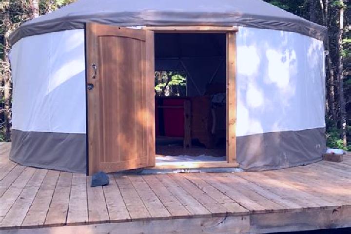 Sofia, 37 — Escort in Serzhen -Yurt, Russia
