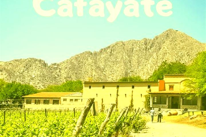 Sofia, 38 — Escort in Cafayate, Argentina