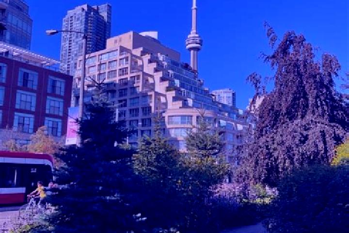 Sofia, 38 — Escort in High Park North, Canada