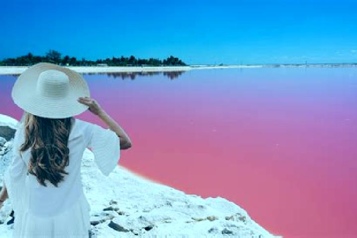 Sofia, 38 — Escort in Las Coloradas, Mexico
