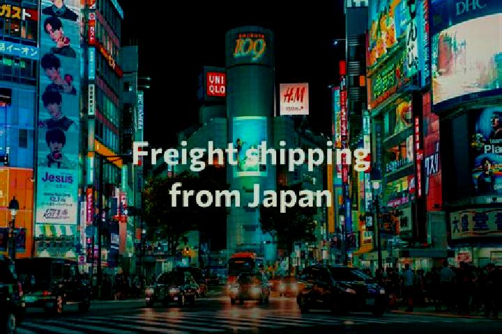 Sofia, 38 — Escort in Munakata, Japan