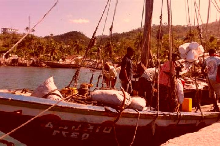 Sofia, 38 — Escort in Roche-a-Bateau, Haiti