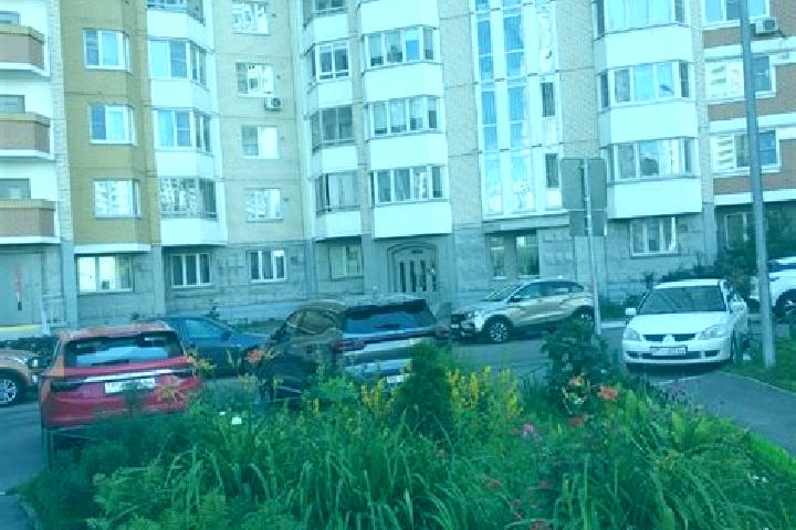 Sofia, 38 — Escort in Zheleznodorozhnyy, Russia