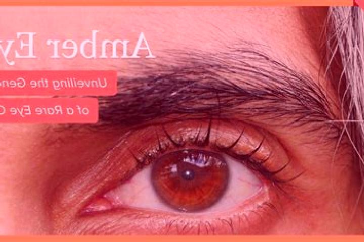 Sofia, 39, a red amber-eyed ebony companion based in Beattystown. Offering Tantra, BDSM, Roleplay, Massage. Available for incall and outcall, overnight booki...