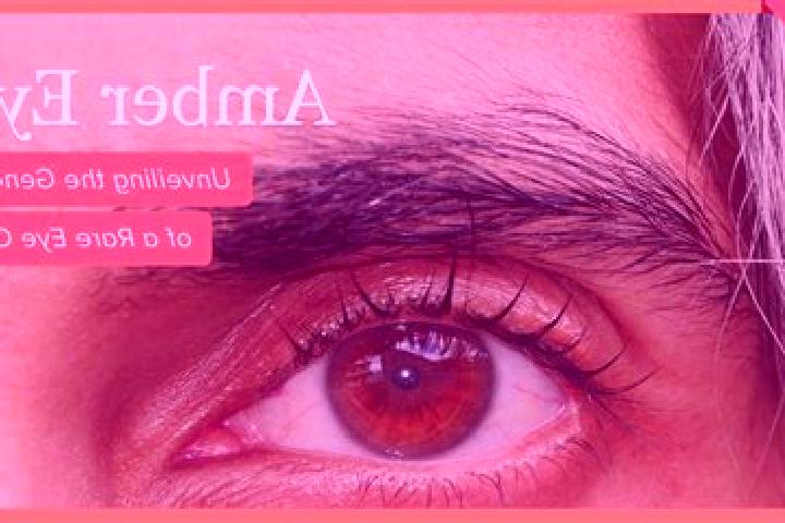 Sofia, 39, a red amber-eyed middle eastern companion based in Pandua. Offering 69, A-Level, BDSM, Domination, Massage. Available for incall and outcall, day ...