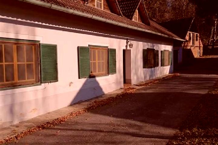 Sofia, 39 — Escort in Breitenfeld an der Rittschein, Austria