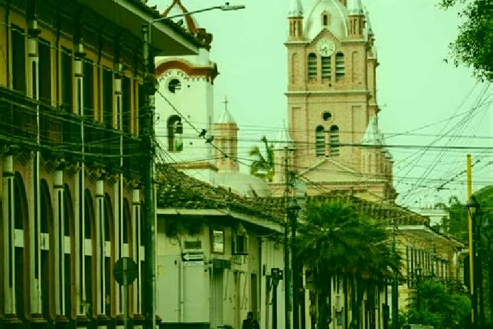 Sofia, 39 — Escort in Guadalajara de Buga, Colombia