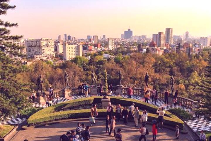 Sofia, 39 — Escort in Heroes de Chapultepec, Mexico