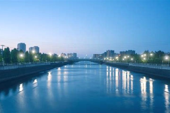 Sofia, 39 — Escort in Urayasu, Japan