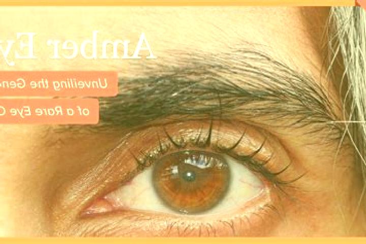 Sophia, 20, a red amber-eyed mediterranean companion based in Diekekro. Offering Massage, Duos, A-Level, Fetish. Available for incall and outcall, overnight ...