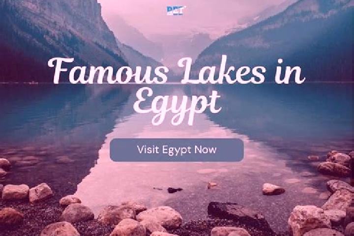 Sophia, 20 — Escort in Al Qusiyah, Egypt