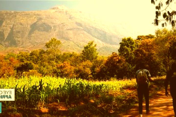 Sophia, 20 — Escort in Mulanje, Malawi