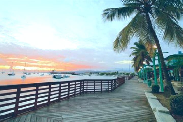 Sophia, 20 — Escort in Puente Caporal (La Guancha), Mexico
