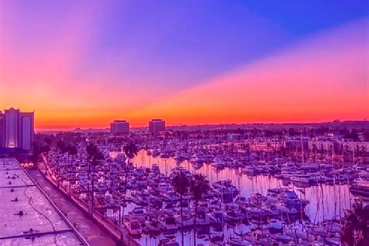 Sophia, 21 — Escort in Marina del Rey, United States