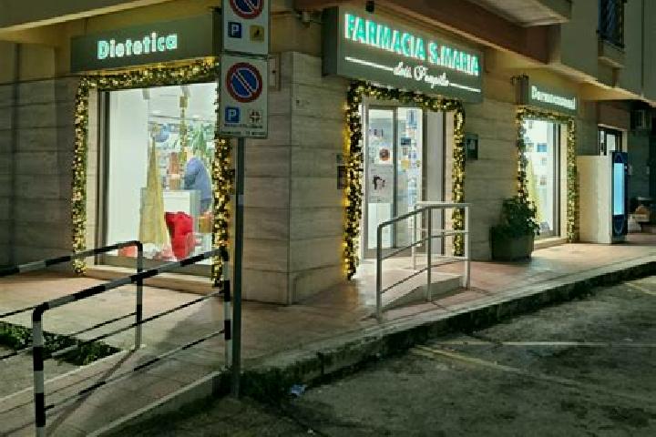 Sophia, 21 — Escort in San Nicola la Strada, Italy