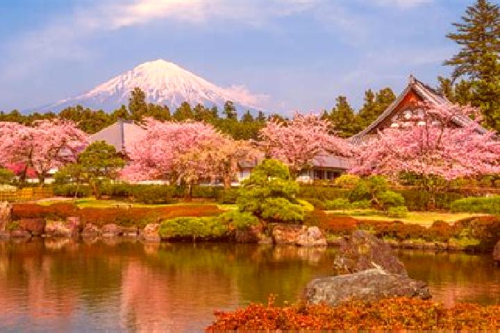 Sophia, 21 — Escort in Shizuoka, Japan