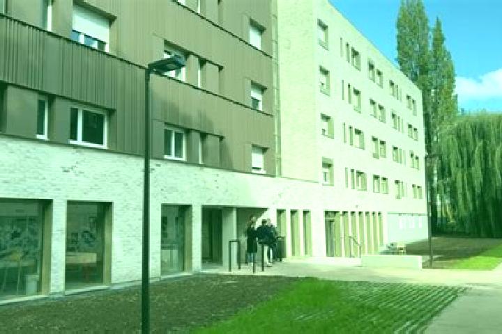 Sophia, 21 — Escort in Villeneuve-d Ascq, France
