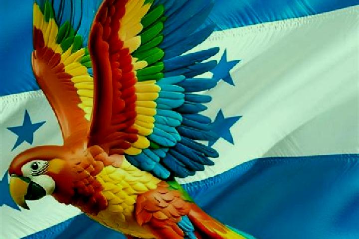 Sophia, 22 — Escort in Correderos, Honduras