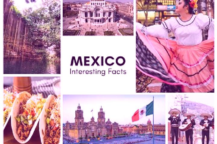 Sophia, 22 — Escort in Cucharas, Mexico