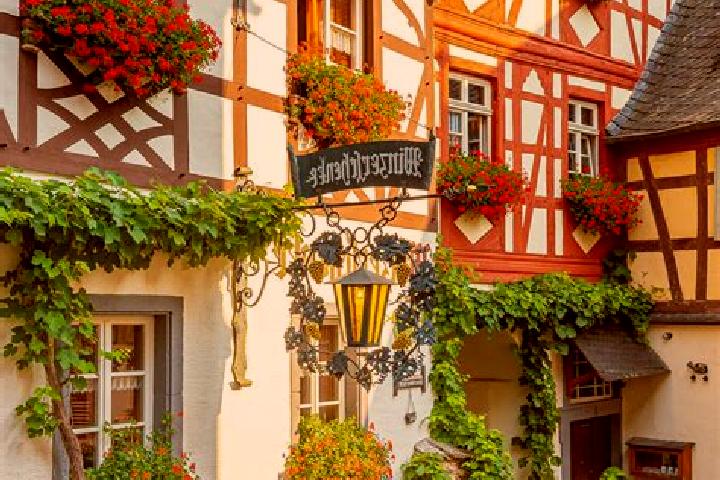 Sophia, 22 — Escort in Rollbach, Germany